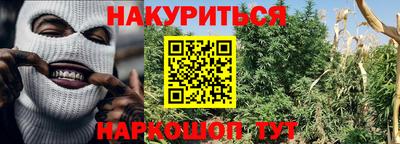 гашик Будённовск