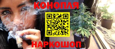 гашик Будённовск