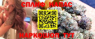 гашик Будённовск