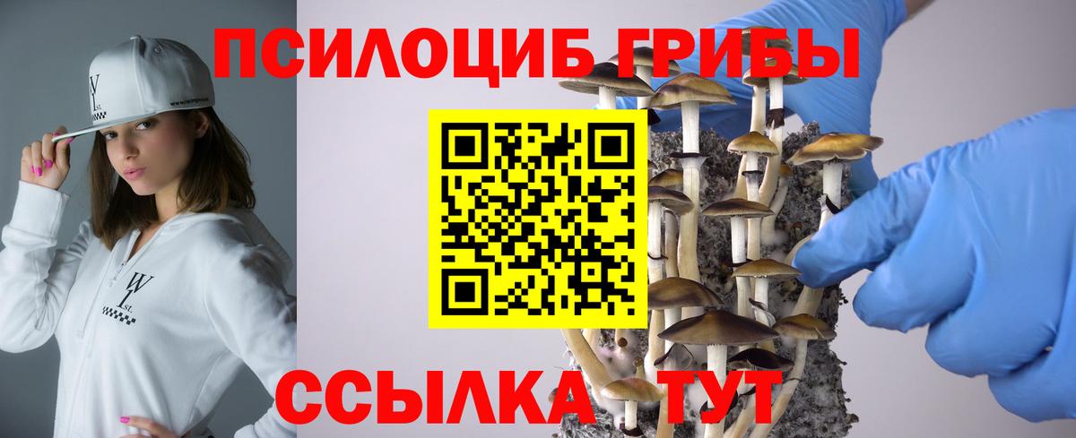 Псилоцибиновые грибы прущие грибы Людиново